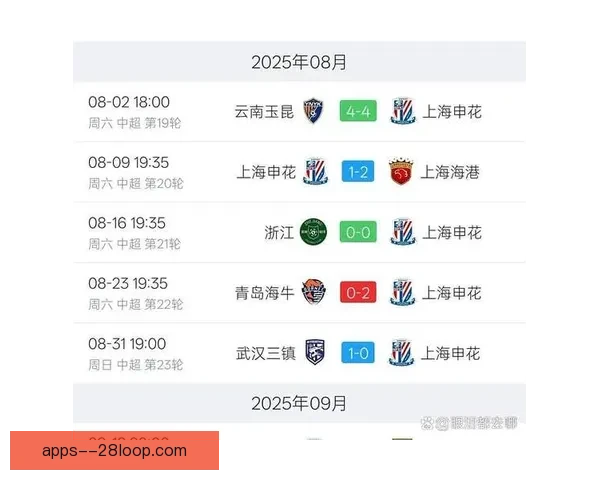 朱辰杰蒋圣龙领衔上海申花双中卫稳固国足防线